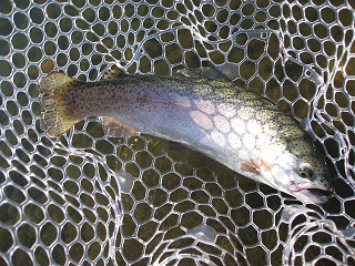 f0065341_1471721.jpg