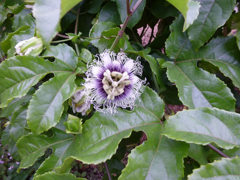 f0014842_18311235.jpg