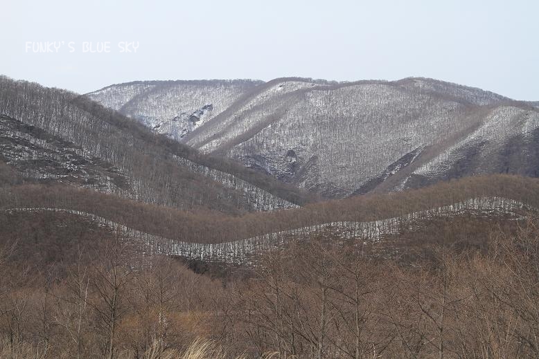 c0145250_13382524.jpg