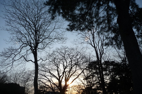 e0002850_22475187.jpg