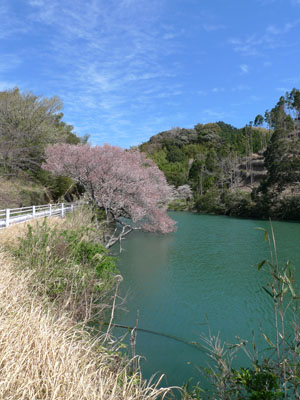 c0206051_23443453.jpg