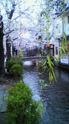 d0175151_2331889.jpg