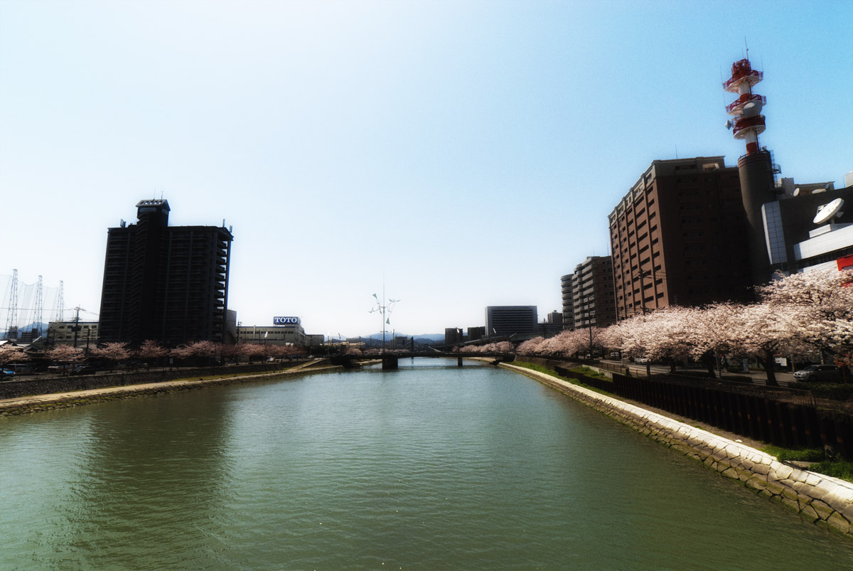 c0028861_2191018.jpg