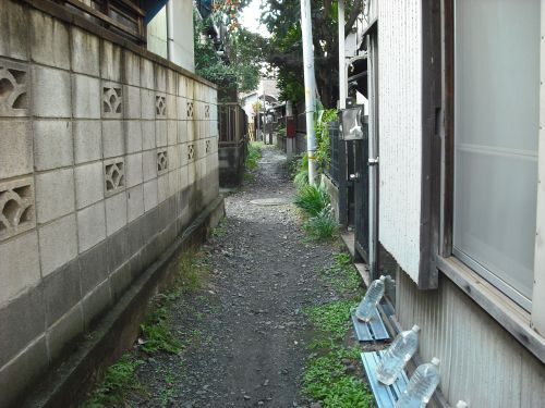 b0206463_17115977.jpg