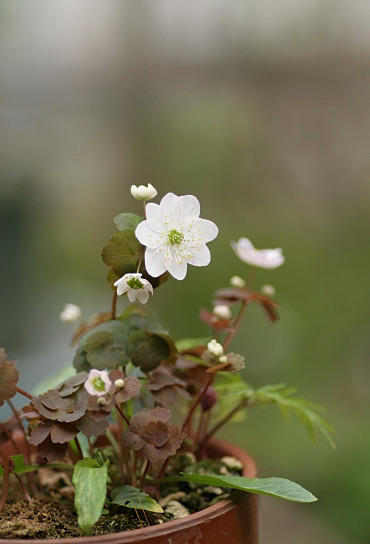 c0186463_2141630.jpg