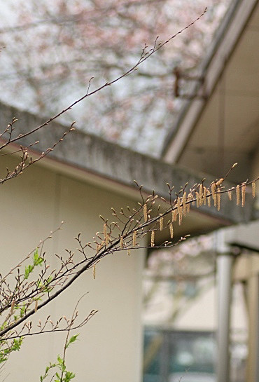 c0186463_2321150.jpg