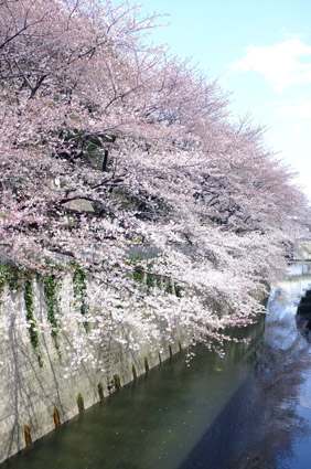 c0048265_735276.jpg