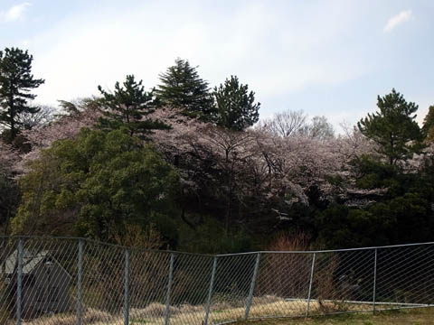 e0159569_2243983.jpg