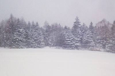 f0182173_1345492.jpg