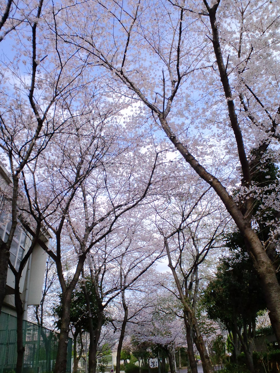 d0147774_22412683.jpg