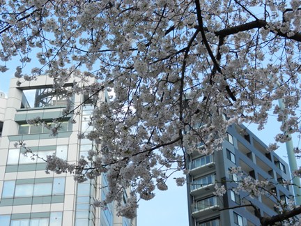 f0209878_910162.jpg