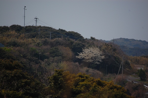 e0252879_12155635.jpg