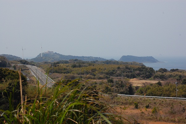 e0252879_1242324.jpg