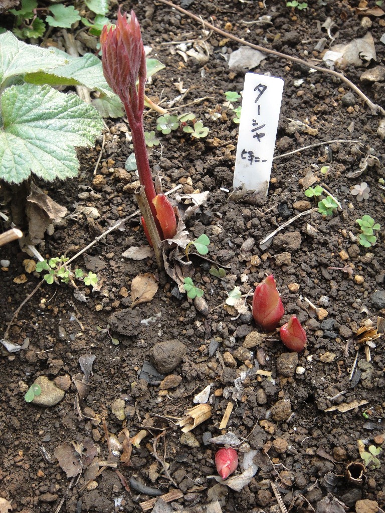b0224081_19232488.jpg