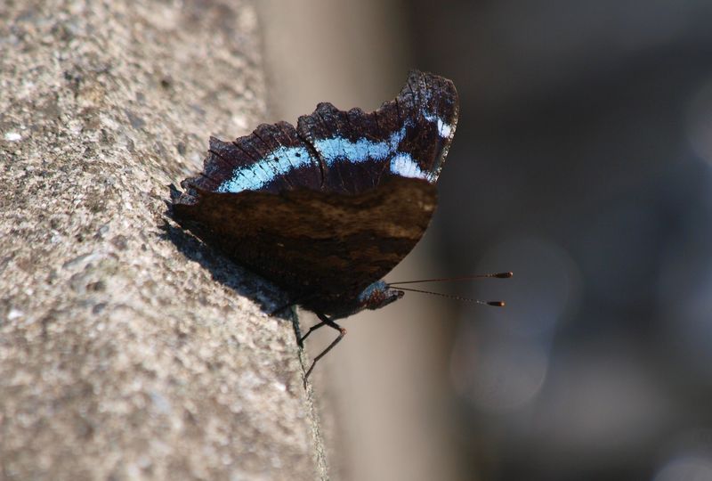 b0108186_2353696.jpg