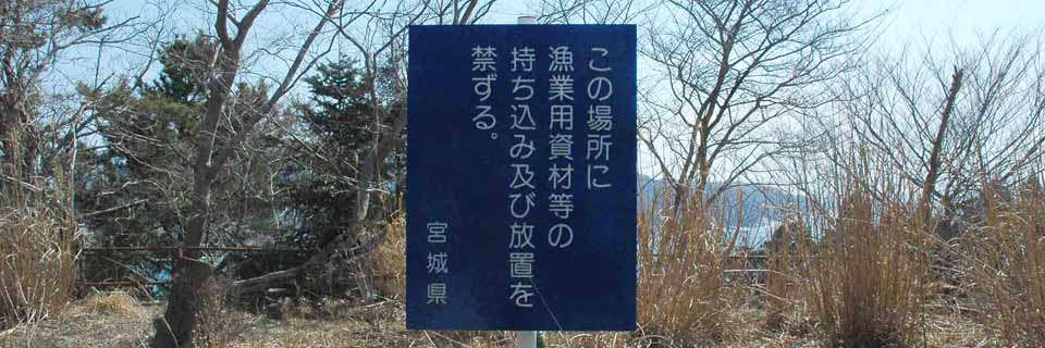 c0170789_1348217.jpg