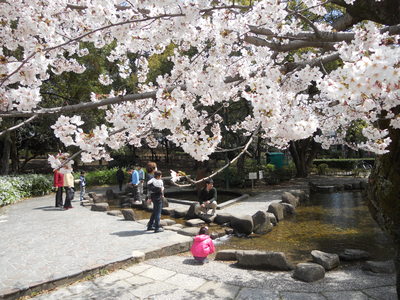 a0256490_20512428.jpg