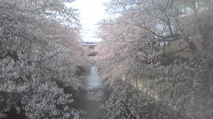 b0017892_8584776.jpg