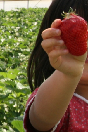 f0128092_23471716.jpg
