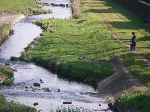 e0202393_1946654.jpg