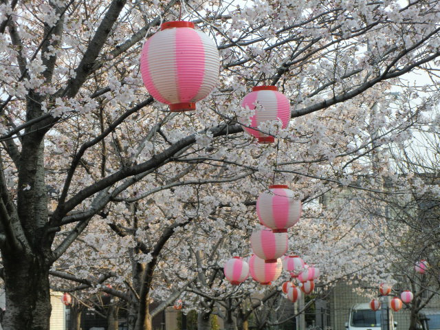 b0044296_20345187.jpg