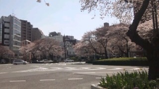 c0194296_1685266.jpg