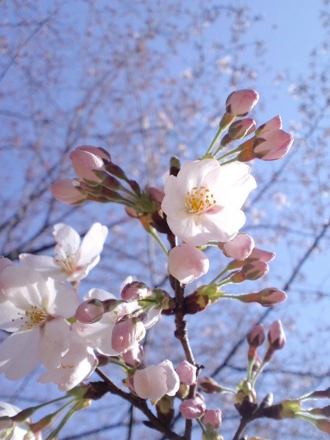 b0234697_783460.jpg