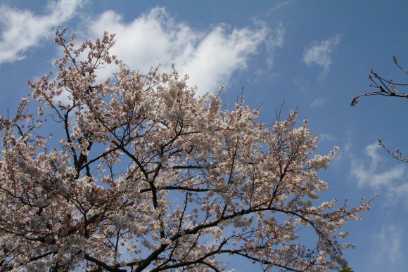 c0050400_2313316.jpg