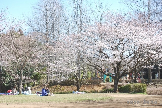 e0025300_16103086.jpg
