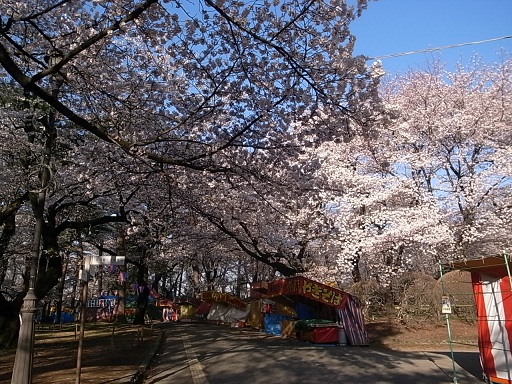 e0043700_2203755.jpg