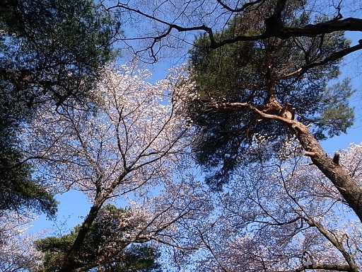 e0043700_2211968.jpg