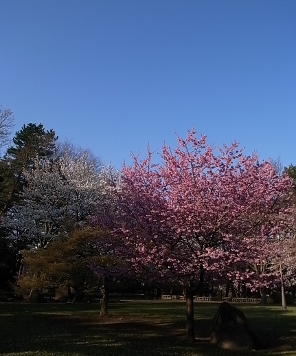 e0043700_2221852.jpg