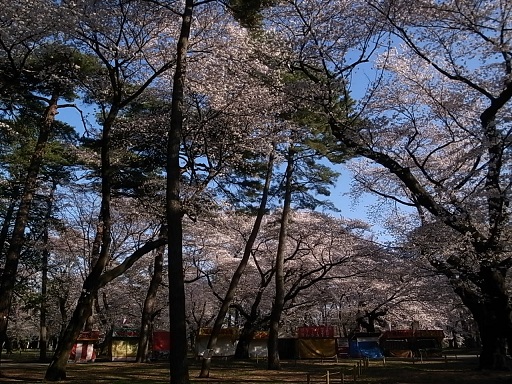 e0043700_222425.jpg