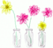 e0207503_2151223.gif