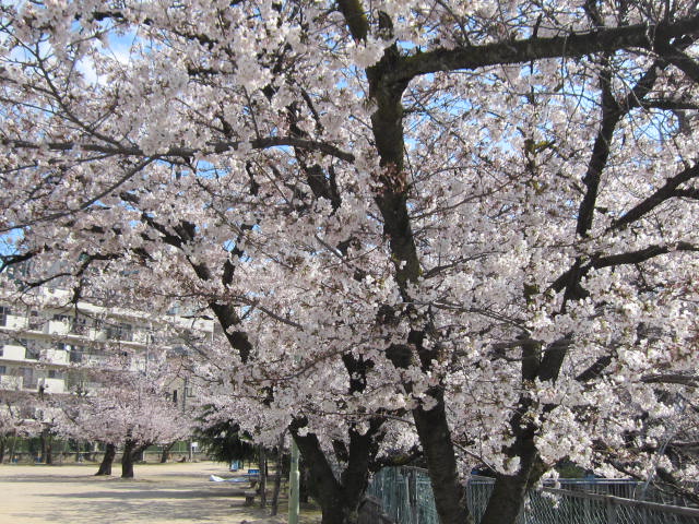 f0197703_107531.jpg