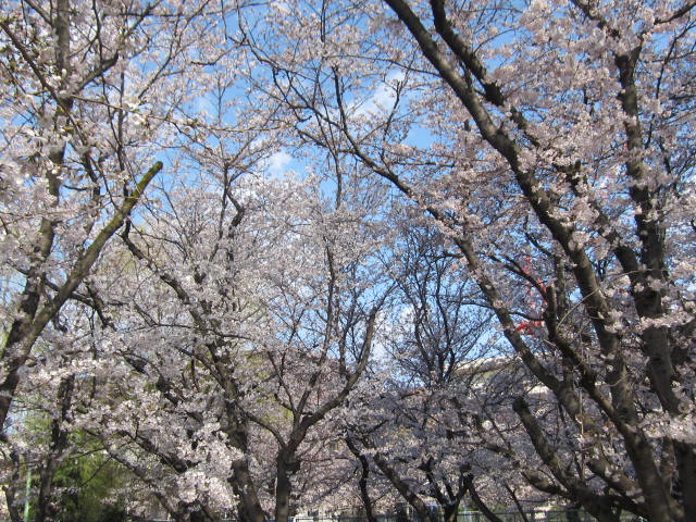 f0197703_1095499.jpg