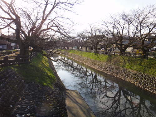 c0105306_11331173.jpg