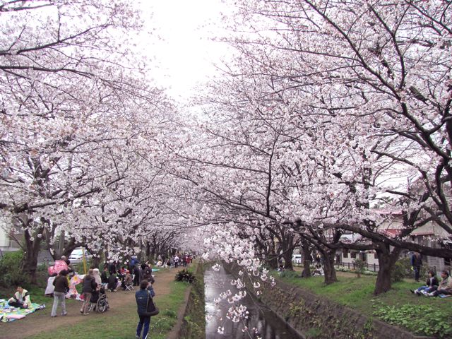 f0198909_17303590.jpg