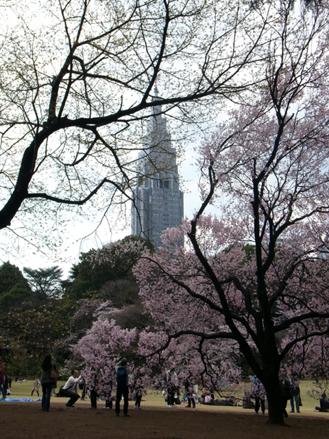 e0083517_23175.jpg