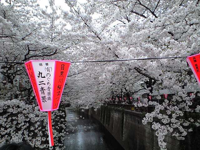 e0197817_23311999.jpg