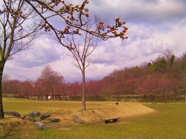 c0204121_821596.jpg