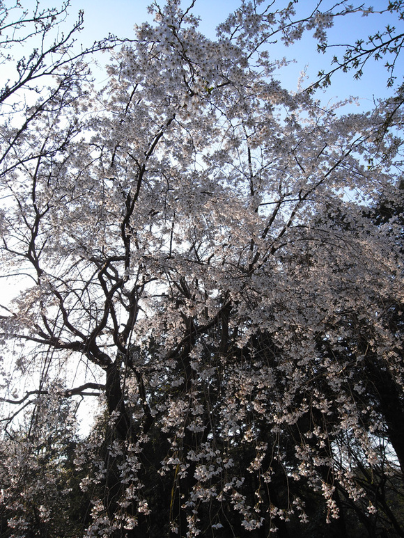 f0160222_1891548.jpg