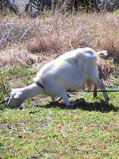 f0036223_9332670.jpg