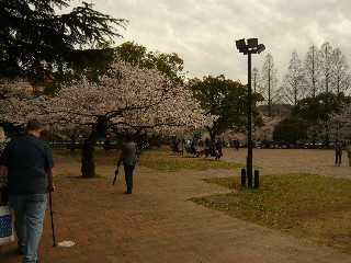 a0098027_10283223.jpg