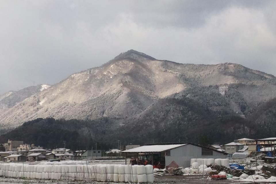 b0237229_8103035.jpg