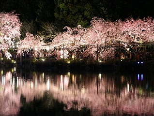 c0051529_2342761.jpg
