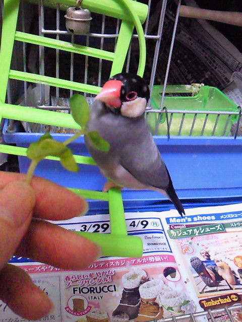 c0025033_21161462.jpg