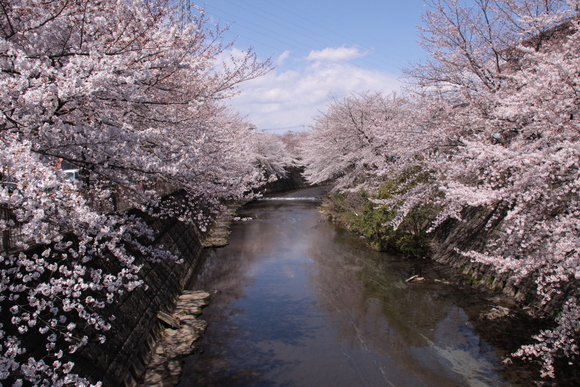 f0217933_15555973.jpg