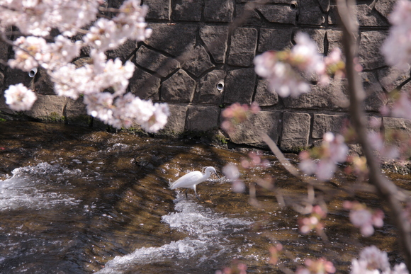 f0217933_16215474.jpg