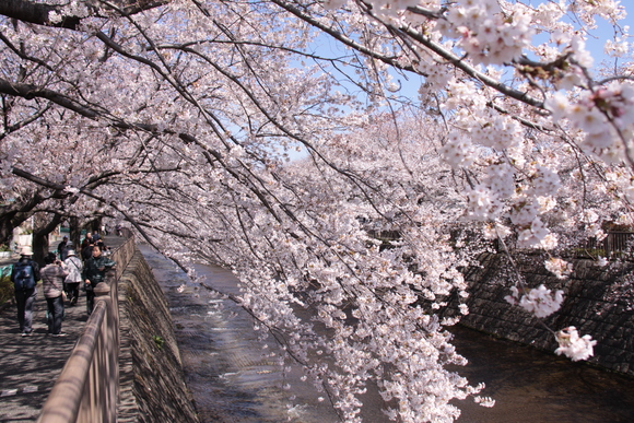 f0217933_1626597.jpg